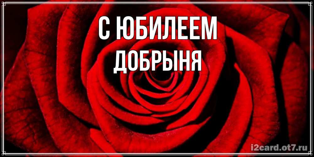 Открытка на каждый день с именем, Добрыня С юбилеем алая роза Прикольная открытка с пожеланием онлайн скачать бесплатно 