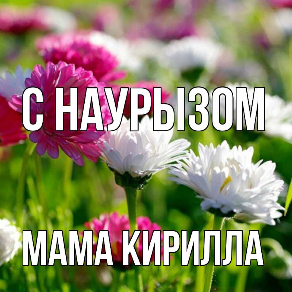Открытка на каждый день с именем, Мама-Кирилла С наурызом праздник весны наурыз красота Прикольная открытка с пожеланием онлайн скачать бесплатно 