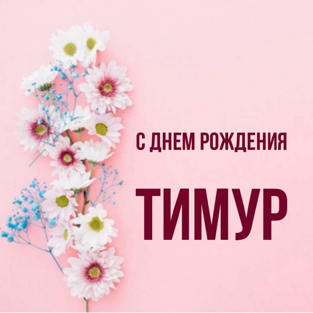 С днем рождения тимура в картинках