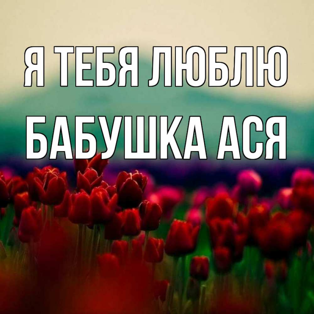 Открытка на каждый день с именем, Бабушка-Ася Я тебя люблю тюльпаны 4 Прикольная открытка с пожеланием онлайн скачать бесплатно 