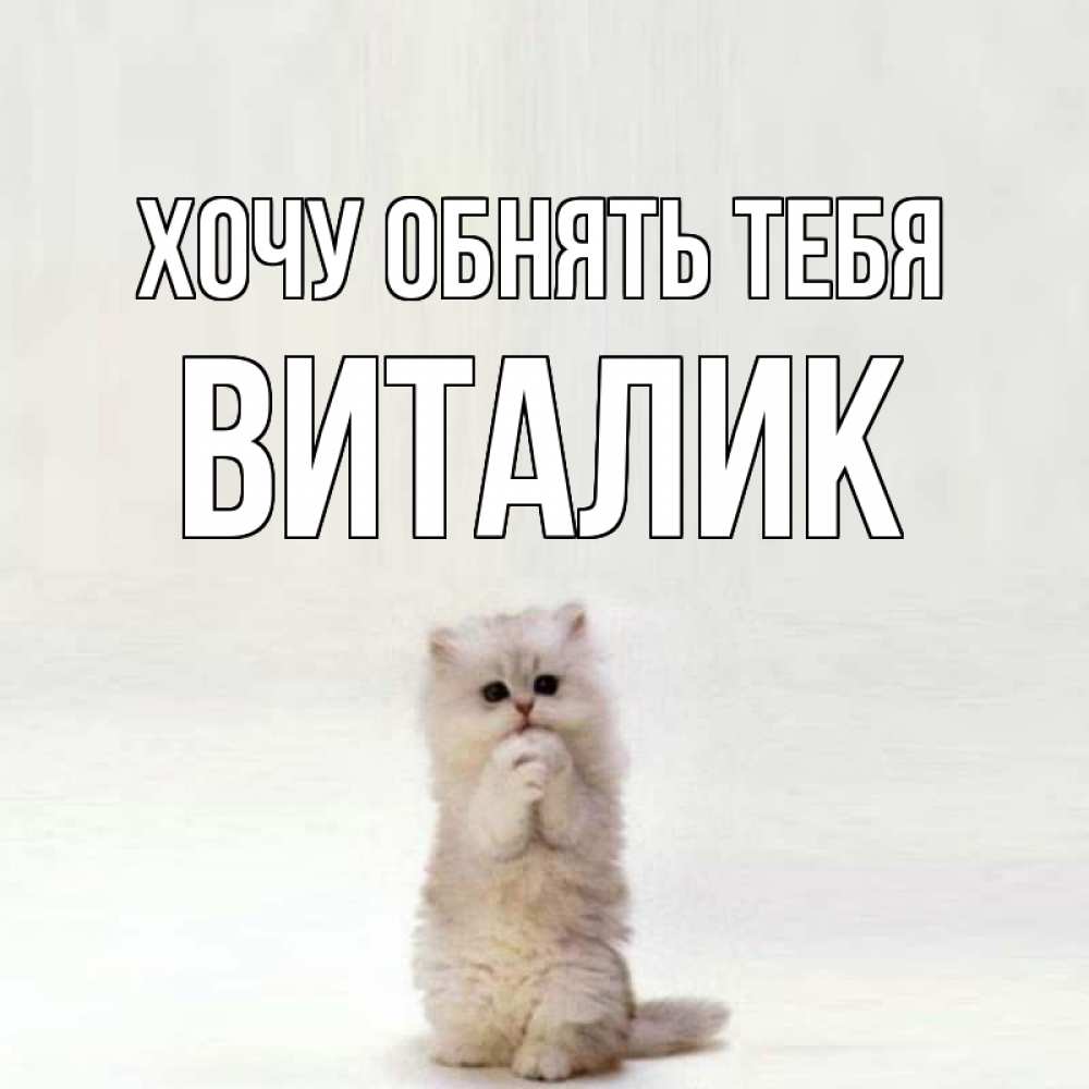 Пожеланием, картинки с приколами про виталика