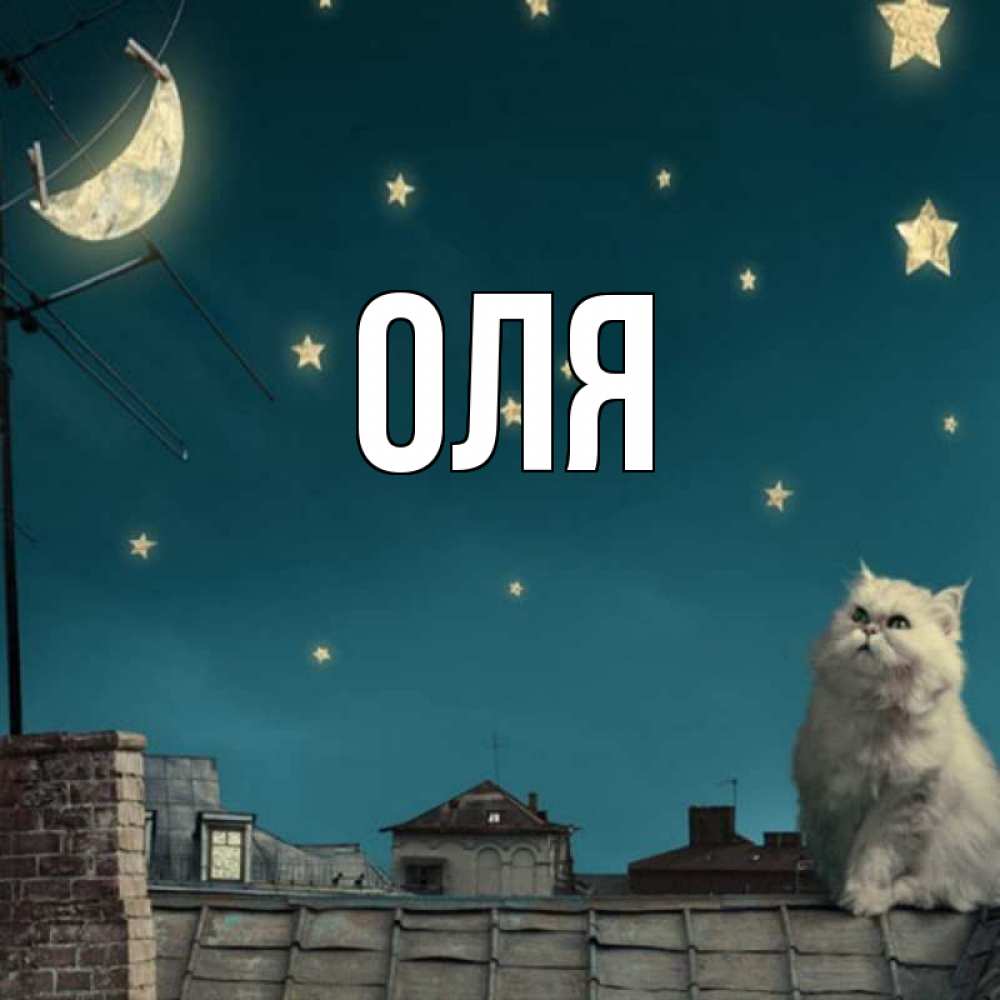 Приколами про, крутые картинки с именем оля