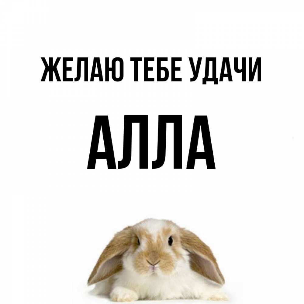 Открытки с именем аллочка, картинки олень картинки
