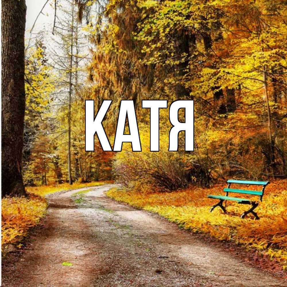 Открытка на каждый день с именем, Катя Главная зеленая лавочка Прикольная открытка с пожеланием онлайн скачать бесплатно 