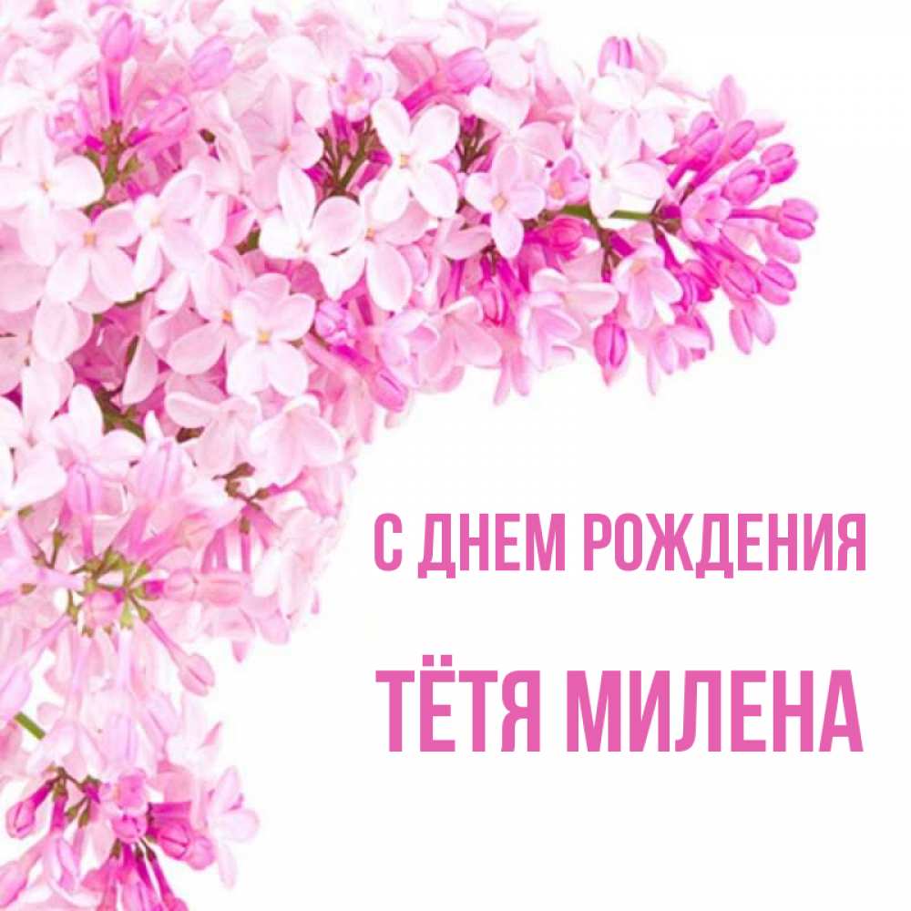 Открытка на каждый день с именем, Тётя-Милена С днем рождения Сирень на белом фоне Прикольная открытка с пожеланием онлайн скачать бесплатно 