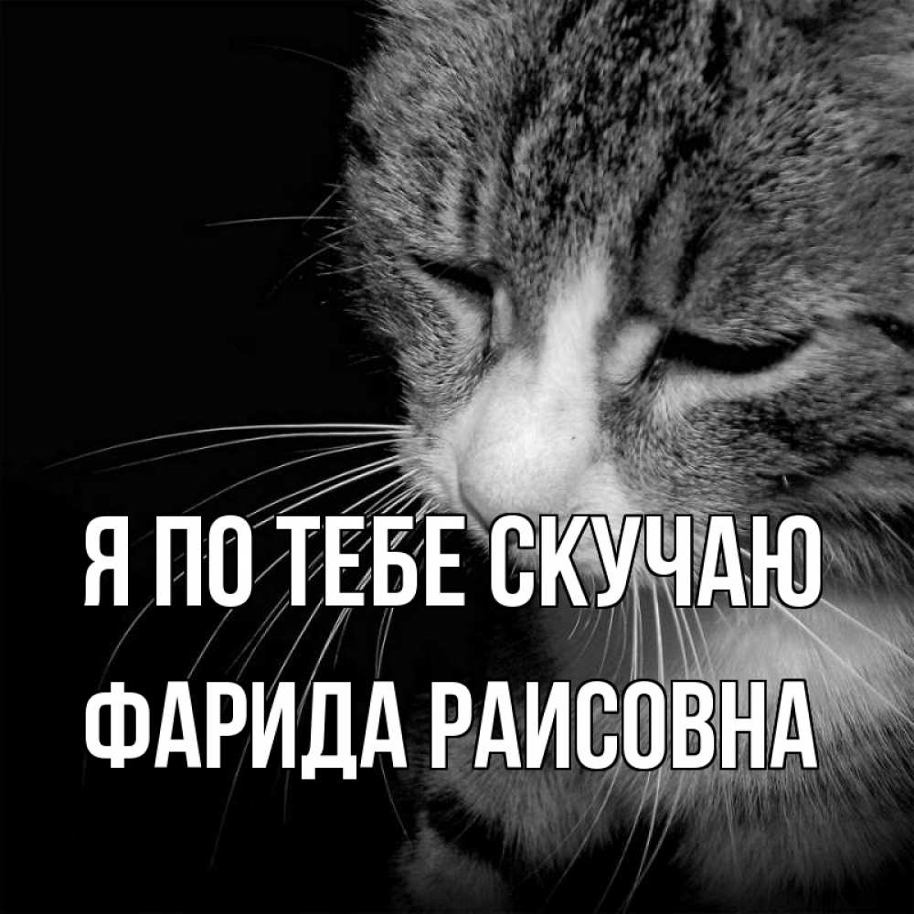Картинка Я по тебе скучаю, Фарида Раисовна
