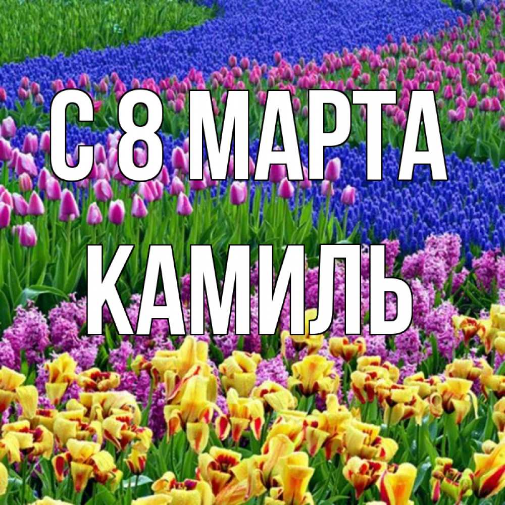 Картинка С 8 МАРТА, Камиль
