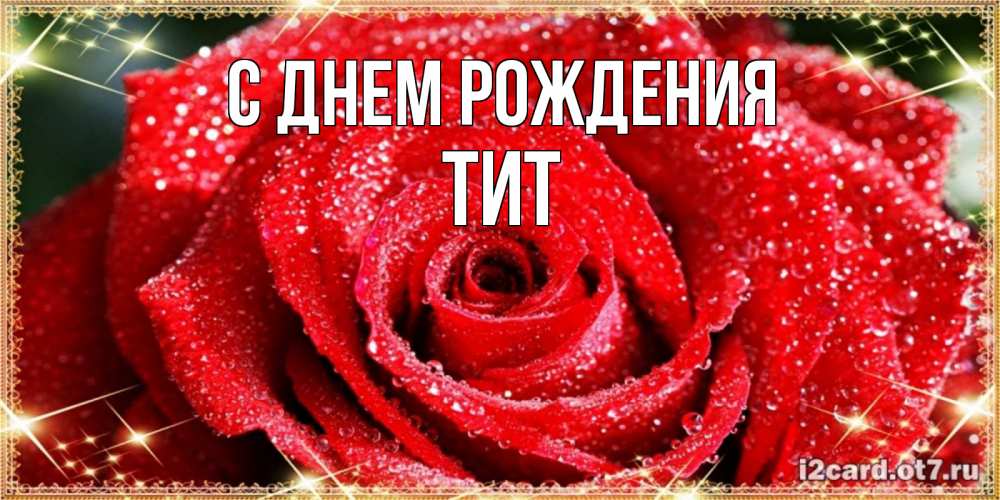 Открытка на каждый день с именем, Тит С днем рождения роса и роза. открытка с красивой розой Прикольная открытка с пожеланием онлайн скачать бесплатно 