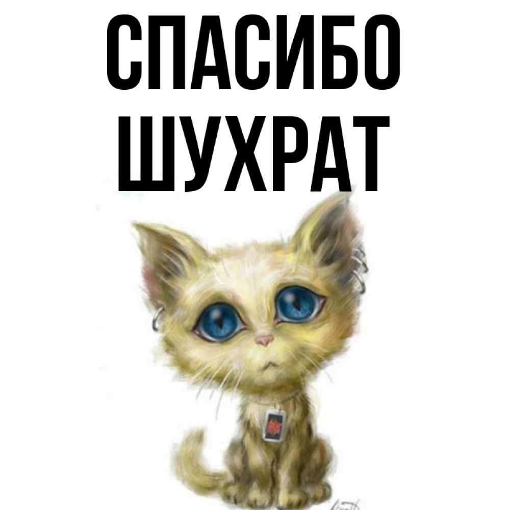 Открытка на каждый день с именем, шухрат Спасибо рисованный кот благодарит вас Прикольная открытка с пожеланием онлайн скачать бесплатно 
