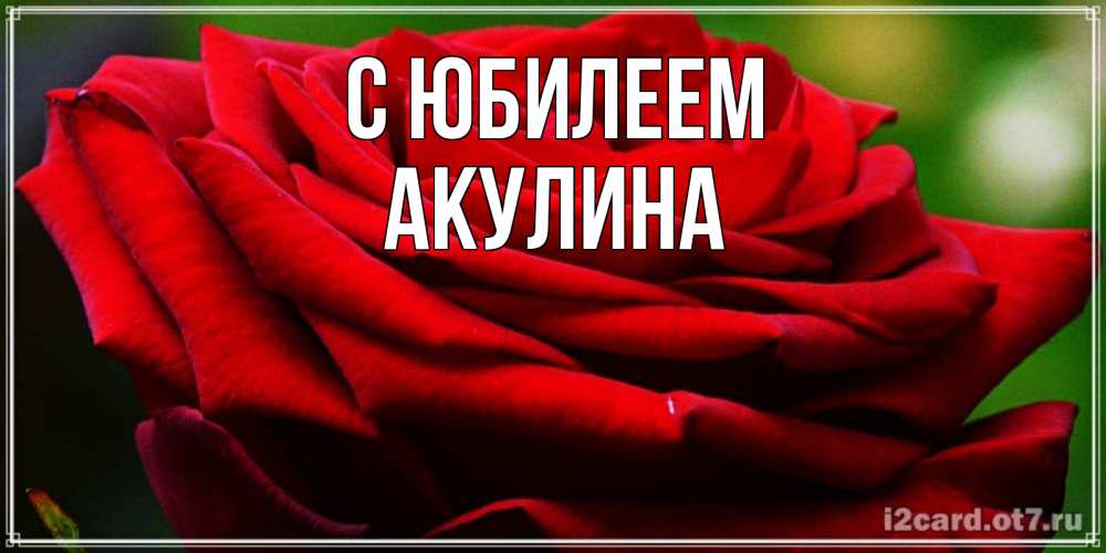 Открытка на каждый день с именем, Акулина С юбилеем розочка очень красивая Прикольная открытка с пожеланием онлайн скачать бесплатно 