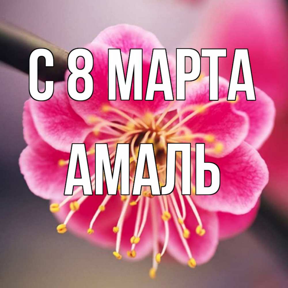 Открытка на каждый день с именем, Амаль С 8 МАРТА цветы Прикольная открытка с пожеланием онлайн скачать бесплатно 