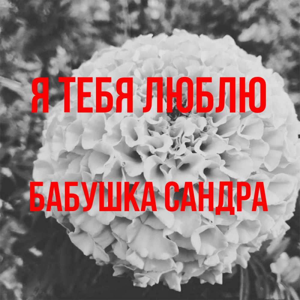 Открытка на каждый день с именем, Бабушка-Сандра Я тебя люблю подпись Прикольная открытка с пожеланием онлайн скачать бесплатно 