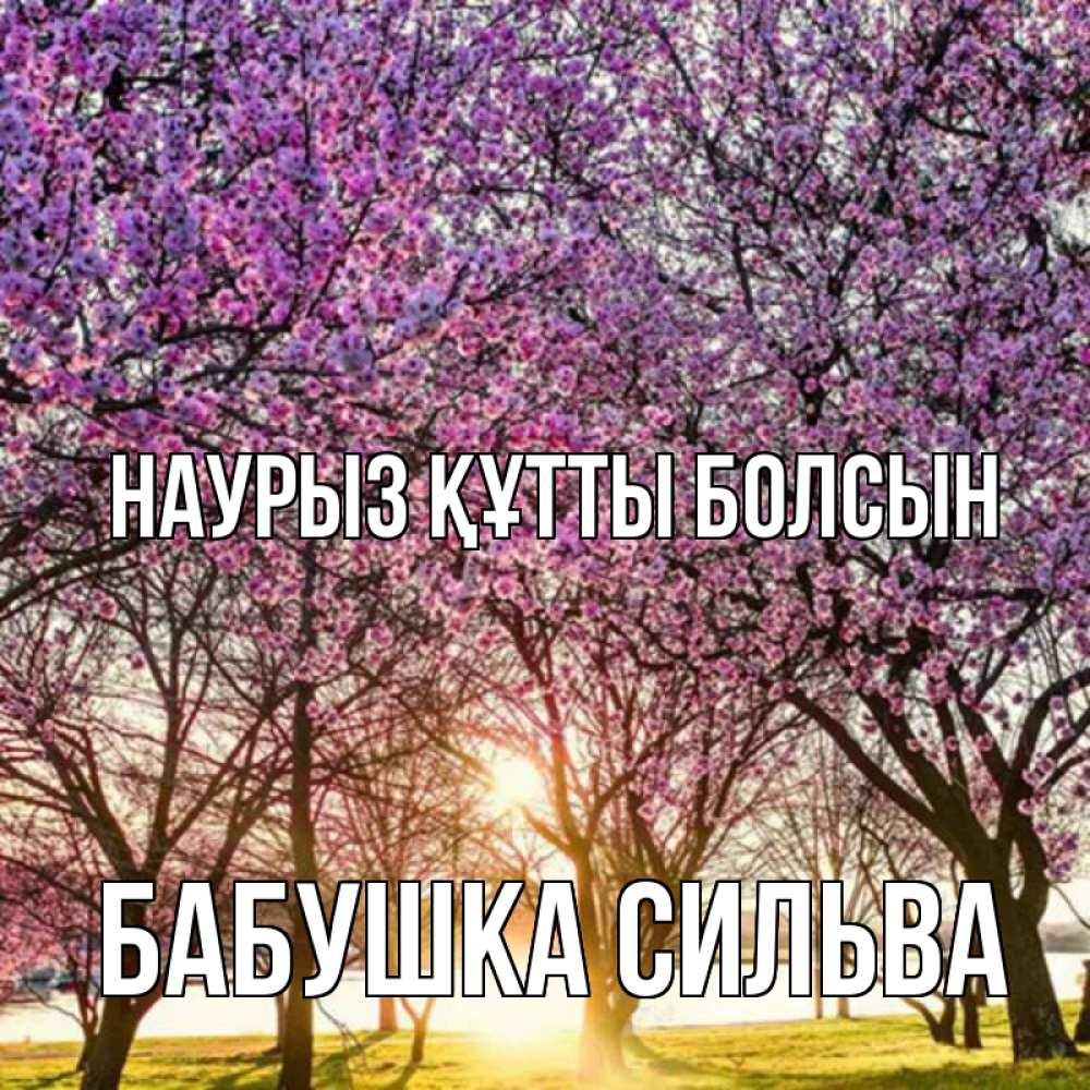Открытка на каждый день с именем, Бабушка-Сильва Наурыз құтты болсын наурыз Прикольная открытка с пожеланием онлайн скачать бесплатно 