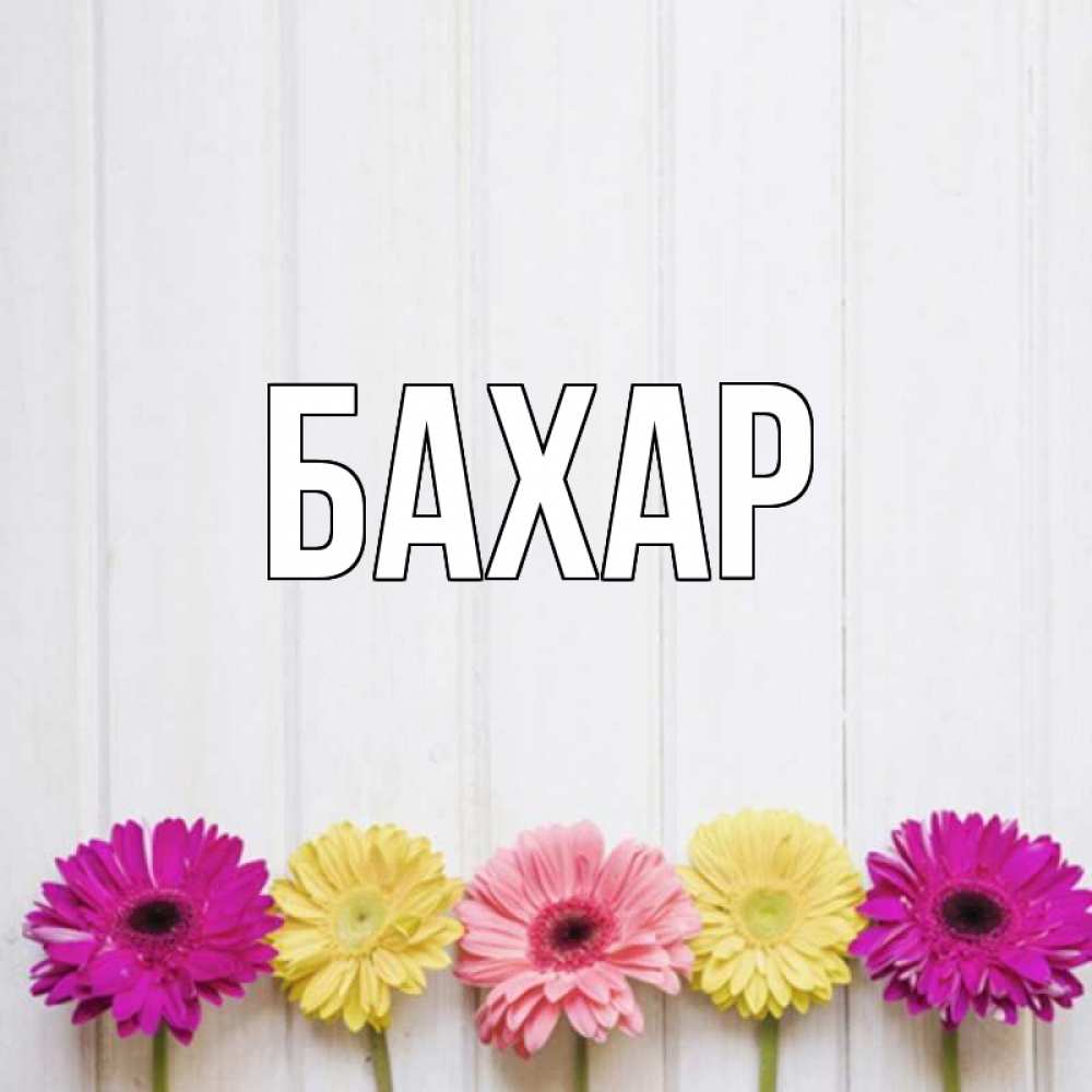 Открытка на каждый день с именем, Бахар Главная красный желтый и розовый цветок Прикольная открытка с пожеланием онлайн скачать бесплатно 