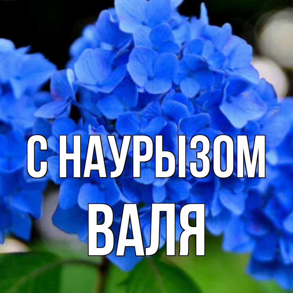 Открытка на каждый день с именем, Валя С наурызом синие цветы Прикольная открытка с пожеланием онлайн скачать бесплатно 