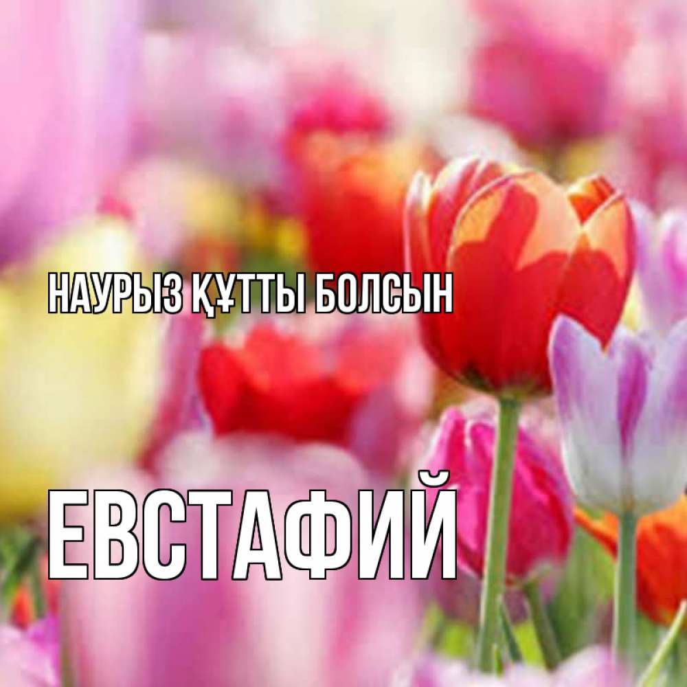Открытка на каждый день с именем, Евстафий Наурыз құтты болсын на наурыз  2 Прикольная открытка с пожеланием онлайн скачать бесплатно 