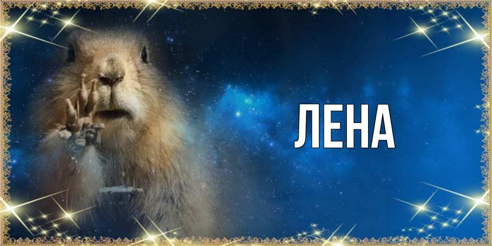 Открытка на каждый день с именем, Лена Главная спокойной ночи сладких снов Прикольная открытка с пожеланием онлайн скачать бесплатно 