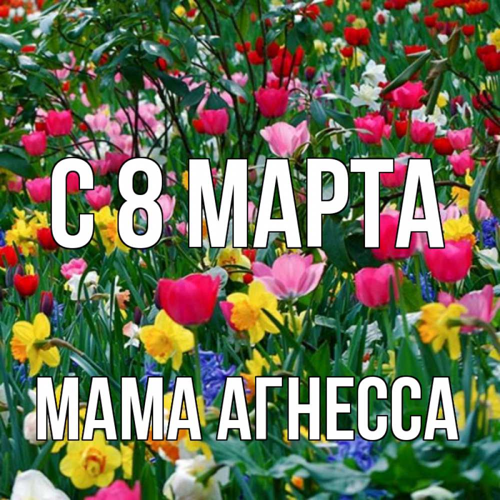 Открытка на каждый день с именем, Мама-Агнесса С 8 марта с международным женским днем поздравления для женщины Прикольная открытка с пожеланием онлайн скачать бесплатно 
