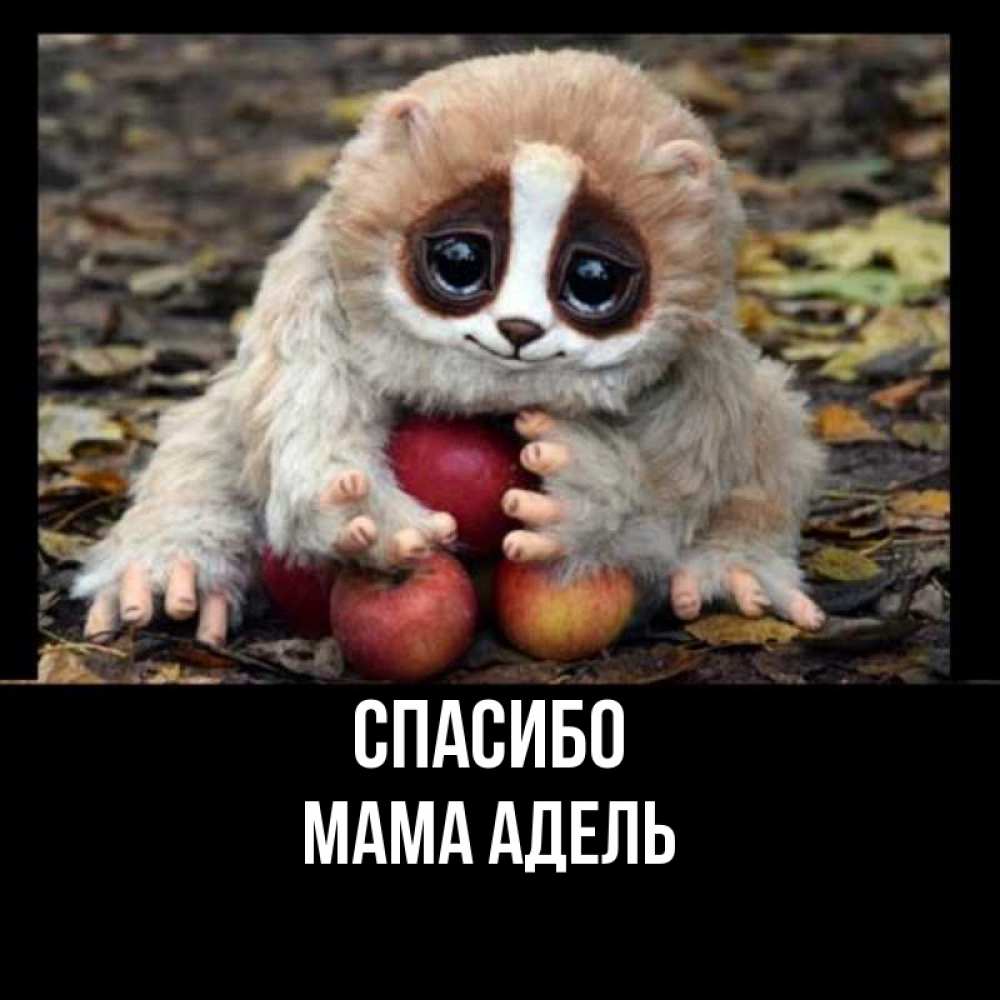 Открытка на каждый день с именем, Мама-Адель Спасибо прикольное животное Прикольная открытка с пожеланием онлайн скачать бесплатно 