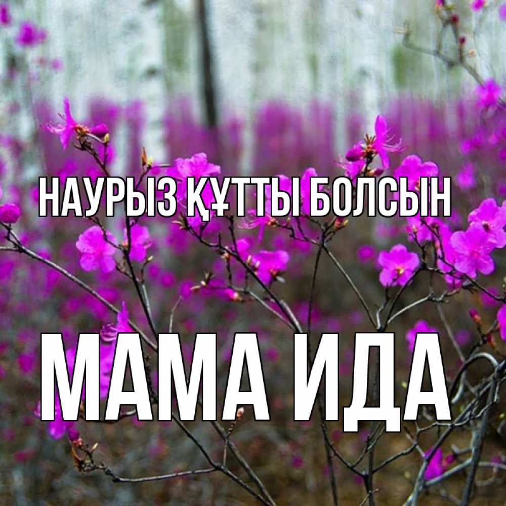 Открытка на каждый день с именем, Мама-Ида Наурыз құтты болсын дикие цветы Прикольная открытка с пожеланием онлайн скачать бесплатно 