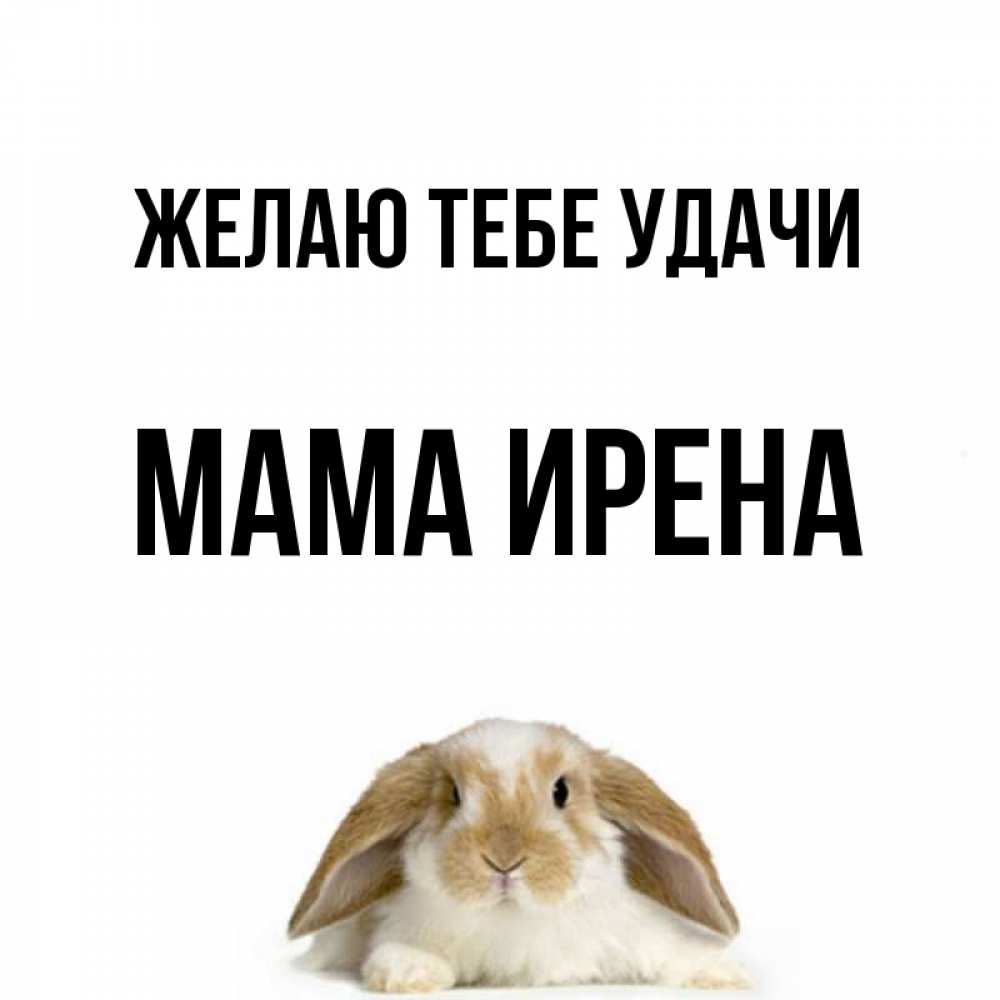 Открытка на каждый день с именем, Мама-Ирена Желаю тебе удачи открытки с произвольным текстом который можно вставить в открытку и создать ее самостоятельно бесплатно онлайн Прикольная открытка с пожеланием онлайн скачать бесплатно 