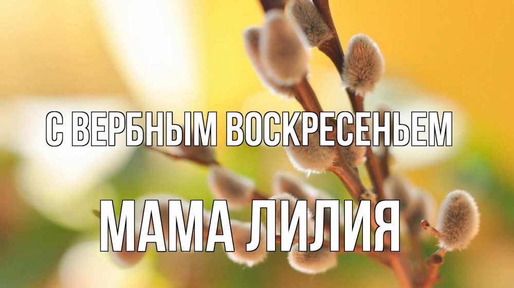 Открытка на каждый день с именем, Мама-Лилия С вербным воскресеньем верба 1 Прикольная открытка с пожеланием онлайн скачать бесплатно 
