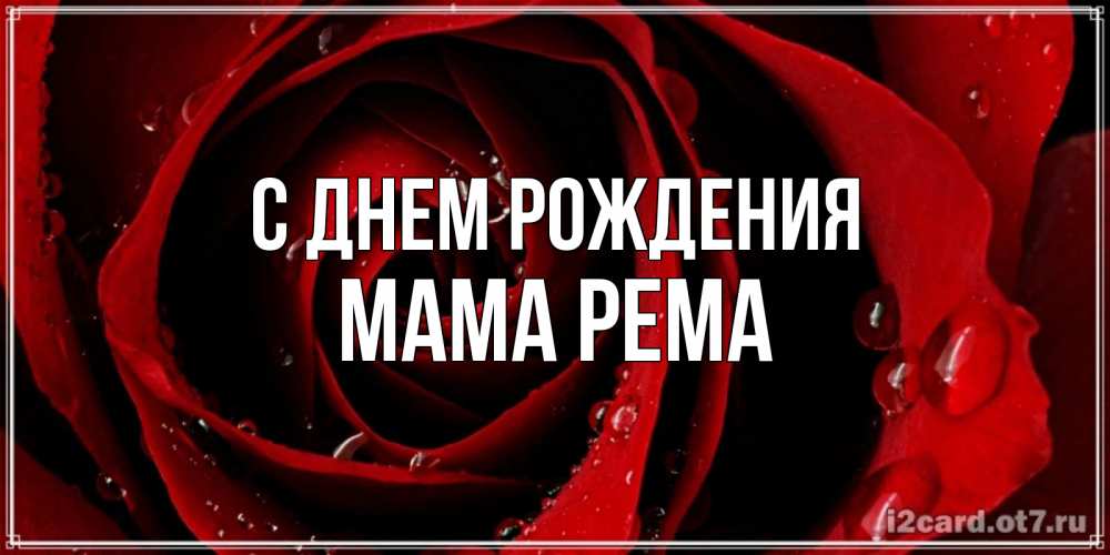 Открытка на каждый день с именем, Мама-Рема С днем рождения крупная бордовая роза Прикольная открытка с пожеланием онлайн скачать бесплатно 