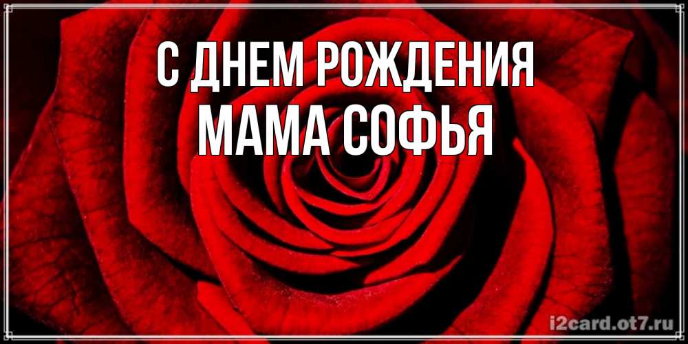 Открытка на каждый день с именем, Мама-Софья С днем рождения алая роза Прикольная открытка с пожеланием онлайн скачать бесплатно 