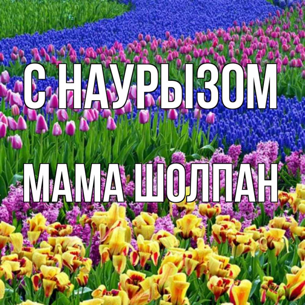Открытка на каждый день с именем, Мама-Шолпан С наурызом цветы Прикольная открытка с пожеланием онлайн скачать бесплатно 