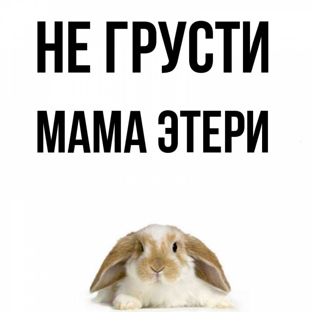 Открытка на каждый день с именем, Мама-Этери Не грусти коричнево белый заяц с большими ушками Прикольная открытка с пожеланием онлайн скачать бесплатно 