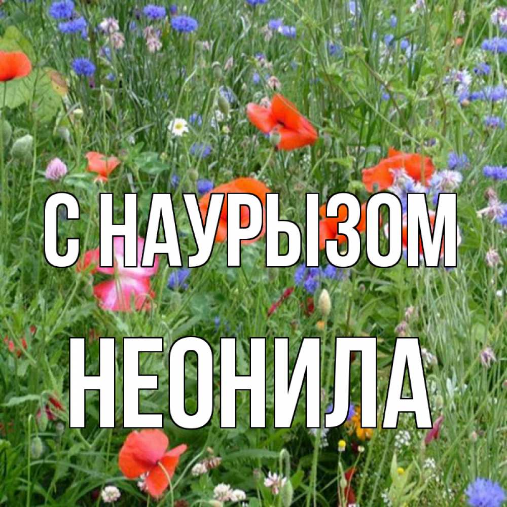 Открытка на каждый день с именем, Неонила С наурызом праздник весны наурыз супер открытка Прикольная открытка с пожеланием онлайн скачать бесплатно 