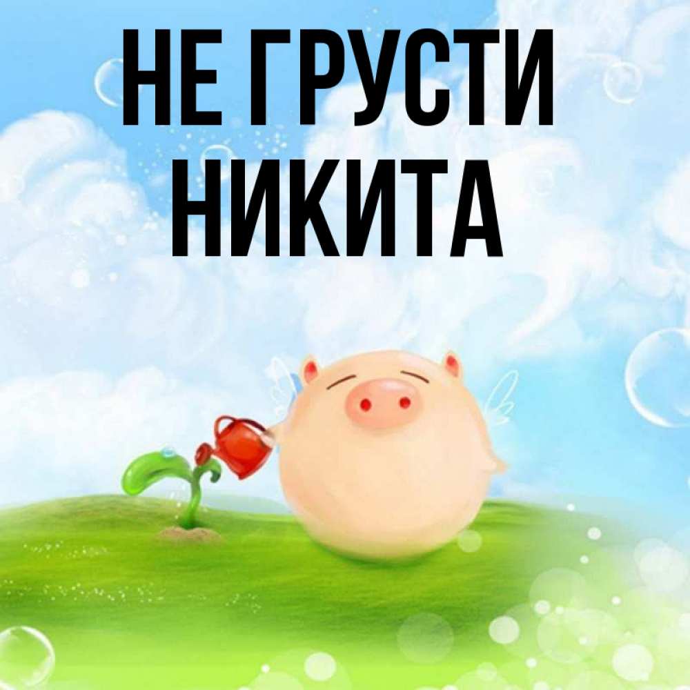 Открытка на каждый день с именем, Никита Не грусти поливает цветок порося Прикольная открытка с пожеланием онлайн скачать бесплатно 