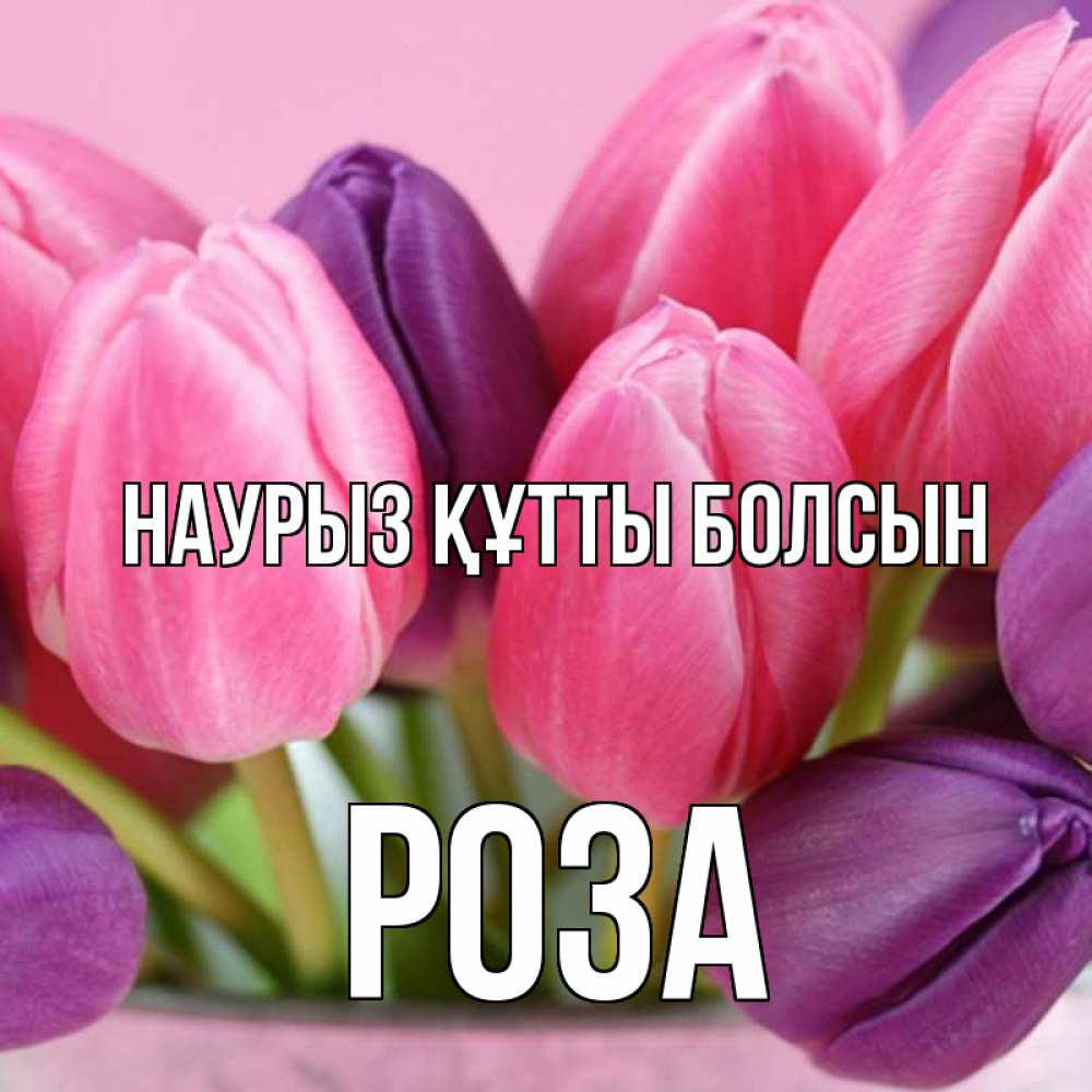 Открытка на каждый день с именем, Роза Наурыз құтты болсын маме 1 Прикольная открытка с пожеланием онлайн скачать бесплатно 