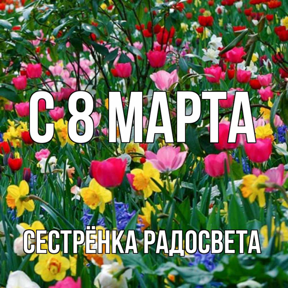 Открытка на каждый день с именем, Сестрёнка-Радосвета С 8 марта с международным женским днем поздравления для женщины Прикольная открытка с пожеланием онлайн скачать бесплатно 