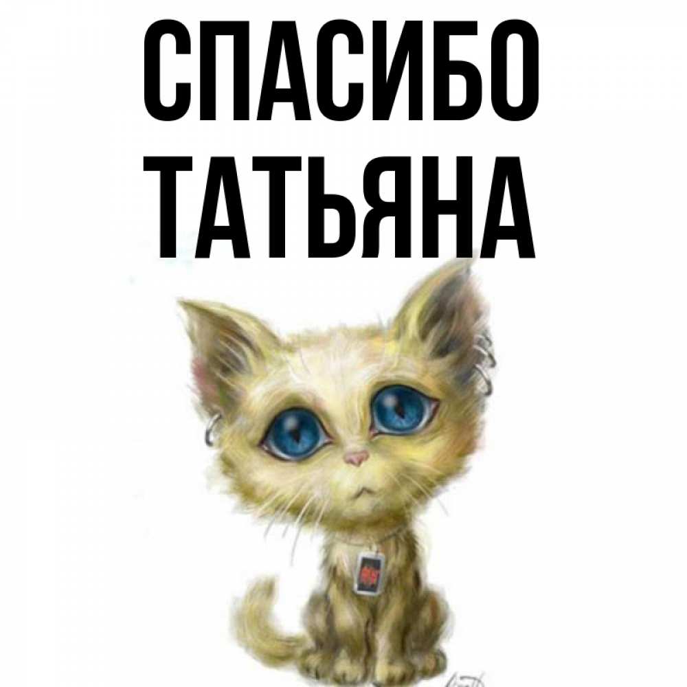 Открытка на каждый день с именем, ТАТЬЯНА Спасибо рисованный кот благодарит вас Прикольная открытка с пожеланием онлайн скачать бесплатно 
