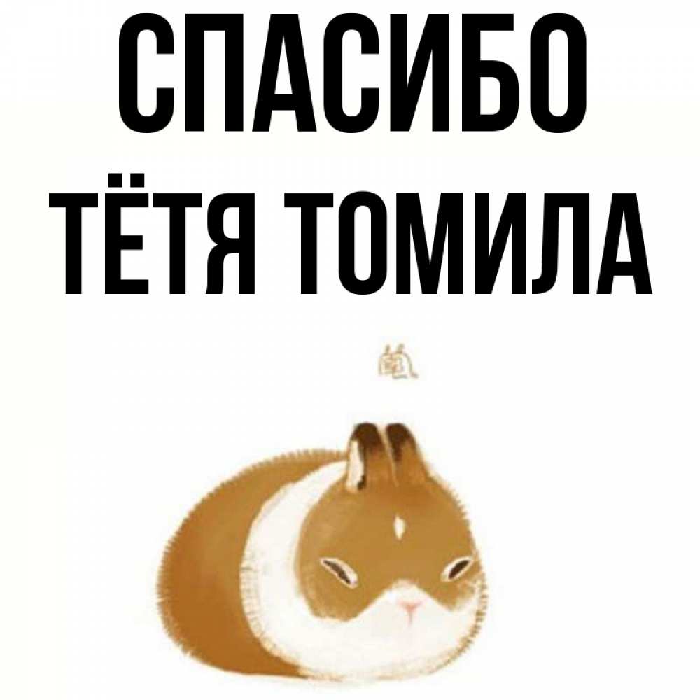 Открытка на каждый день с именем, Тётя-Томила Спасибо коричнево белый домашний питомец Прикольная открытка с пожеланием онлайн скачать бесплатно 