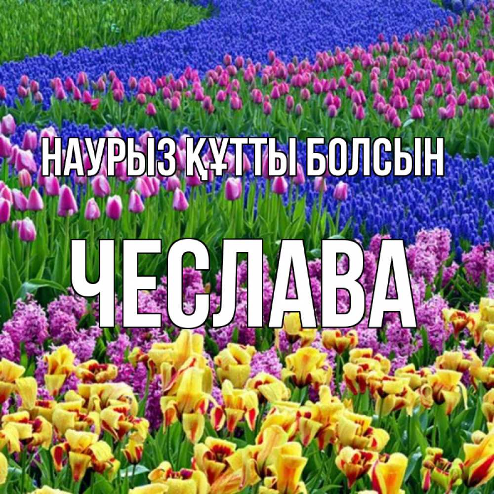 Открытка на каждый день с именем, Чеслава Наурыз құтты болсын цветы Прикольная открытка с пожеланием онлайн скачать бесплатно 