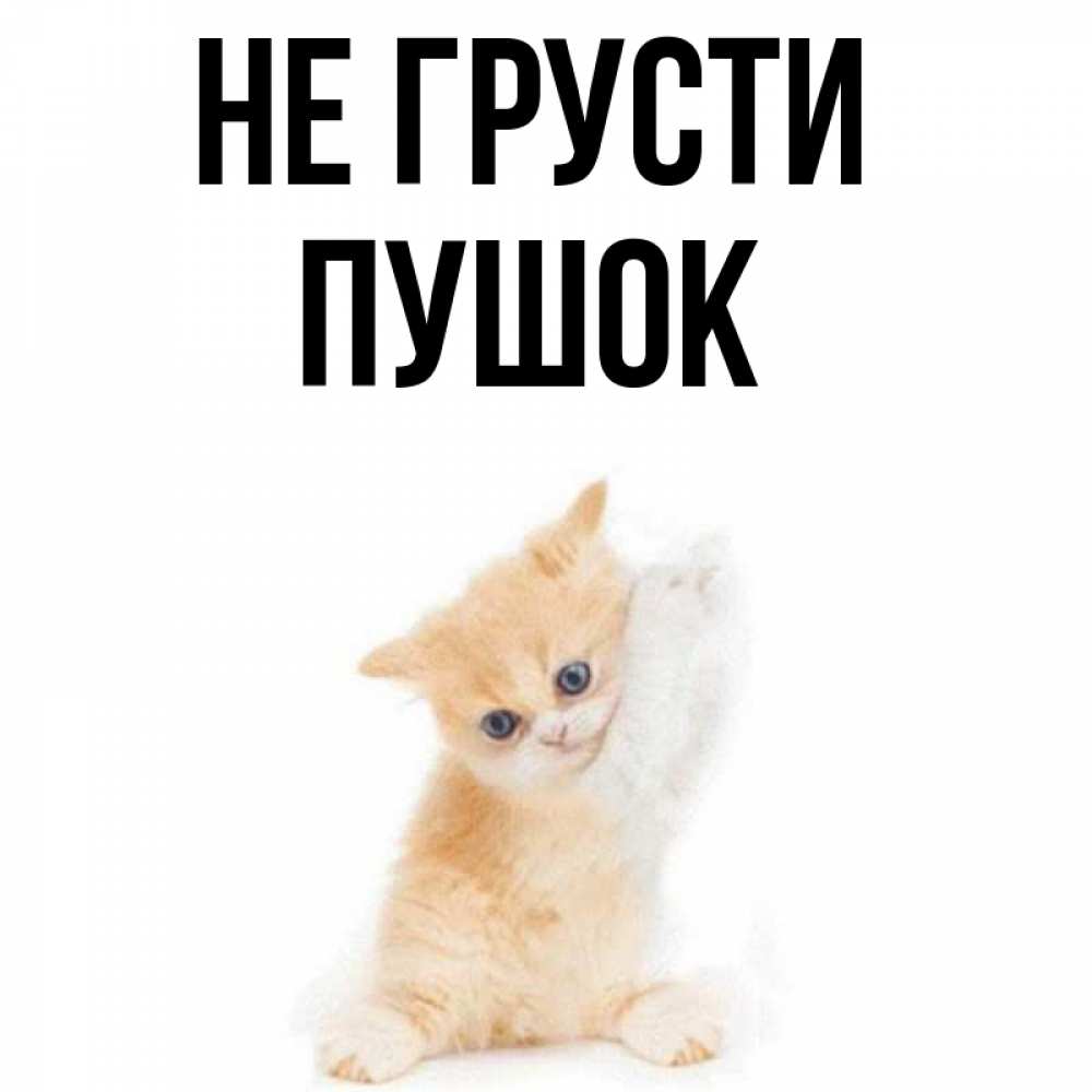 Пушок кличка. Рвота у кота ,окрашенная кровью фото. Кличка пушок. Кличка пушок. Кличка пушок.