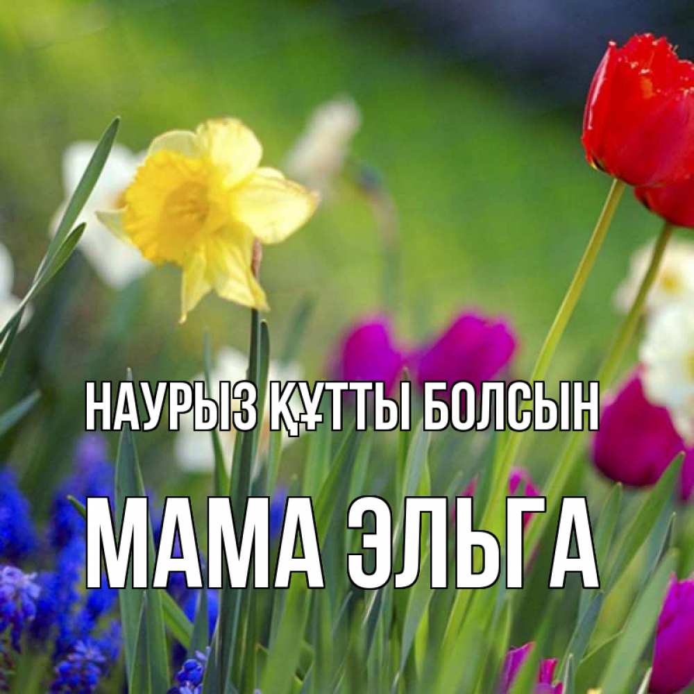 Открытка на каждый день с именем, Мама-Эльга Наурыз құтты болсын наурыз  3 открытки Прикольная открытка с пожеланием онлайн скачать бесплатно 
