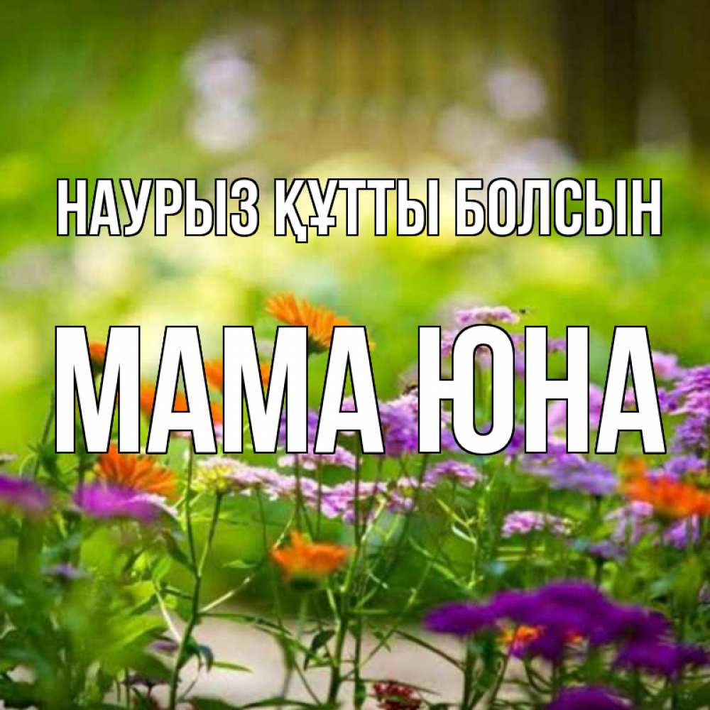 Открытка на каждый день с именем, Мама-Юна Наурыз құтты болсын цветы Прикольная открытка с пожеланием онлайн скачать бесплатно 