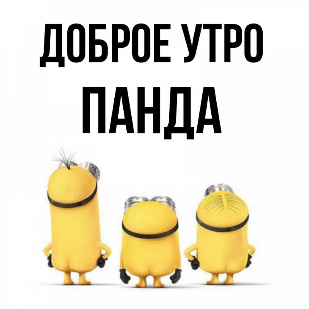 Картинка Доброе утро, панда