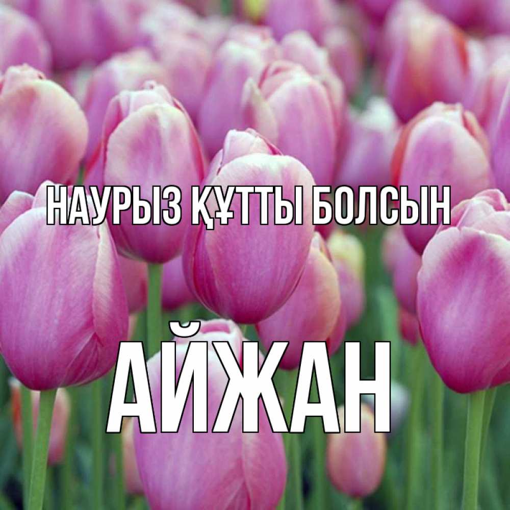Открытка на каждый день с именем, Айжан Наурыз құтты болсын на наурыз  день 3 Прикольная открытка с пожеланием онлайн скачать бесплатно 