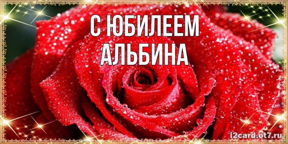 Открытка на каждый день с именем, Альбина С юбилеем роса и роза. открытка с красивой розой Прикольная открытка с пожеланием онлайн скачать бесплатно 