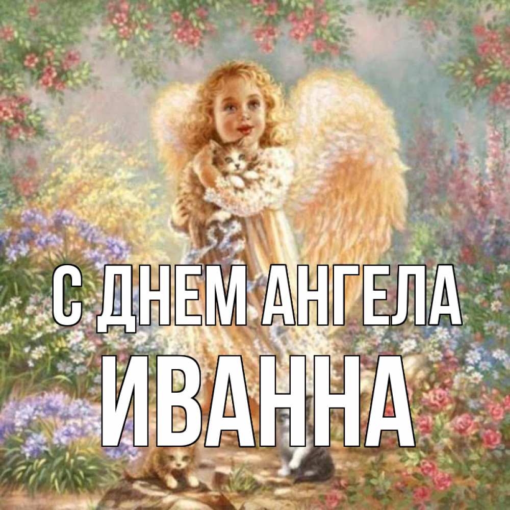 Открытка на каждый день с именем, Иванна С днем ангела держит котенка Прикольная открытка с пожеланием онлайн скачать бесплатно 