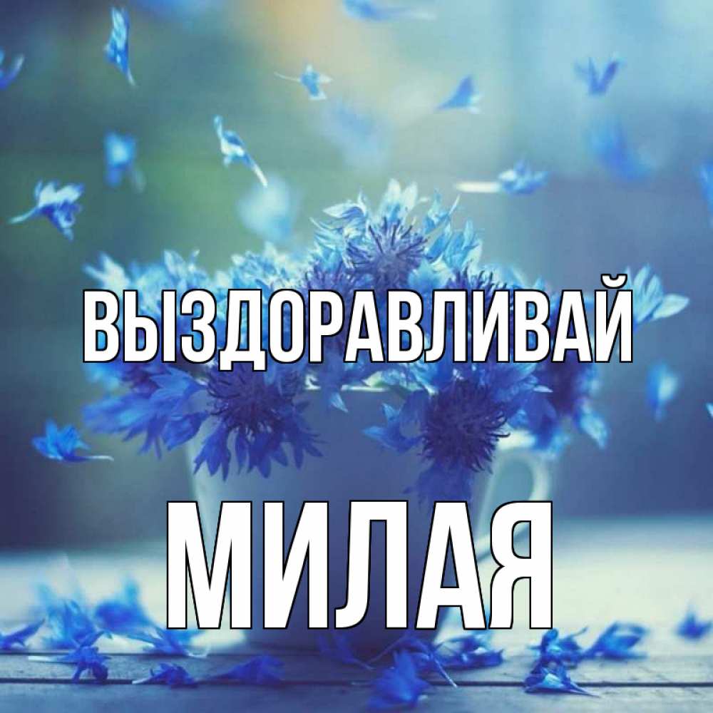 Открытка на каждый день с именем, МИЛАЯ Выздоравливай кружка с зельем и цветами Прикольная открытка с пожеланием онлайн скачать бесплатно 