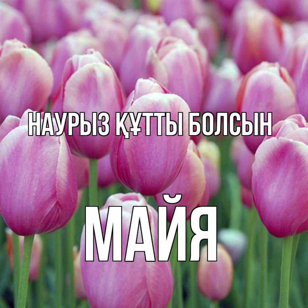 Открытка на каждый день с именем, Майя Наурыз құтты болсын на наурыз  день 3 Прикольная открытка с пожеланием онлайн скачать бесплатно 