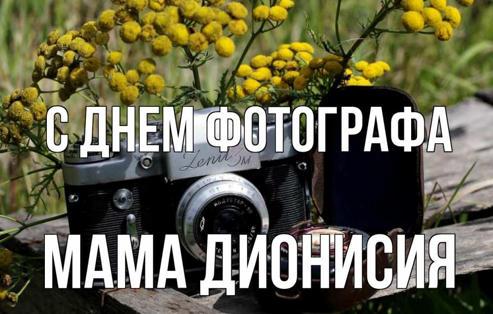 Открытка на каждый день с именем, Мама-Дионисия С днем фотографа с днем фотографа Прикольная открытка с пожеланием онлайн скачать бесплатно 