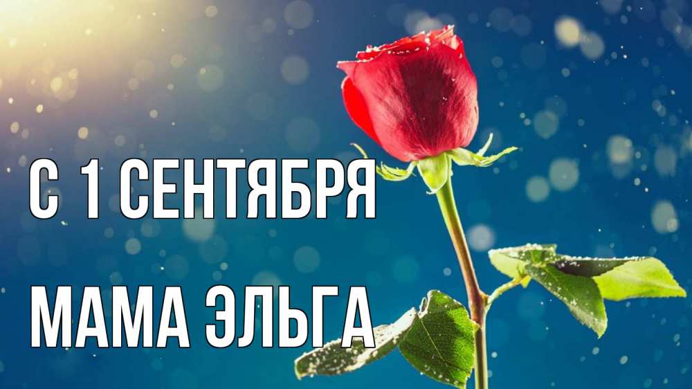 Открытка на каждый день с именем, Мама-Эльга С 1 сентября с днем знаний Прикольная открытка с пожеланием онлайн скачать бесплатно 