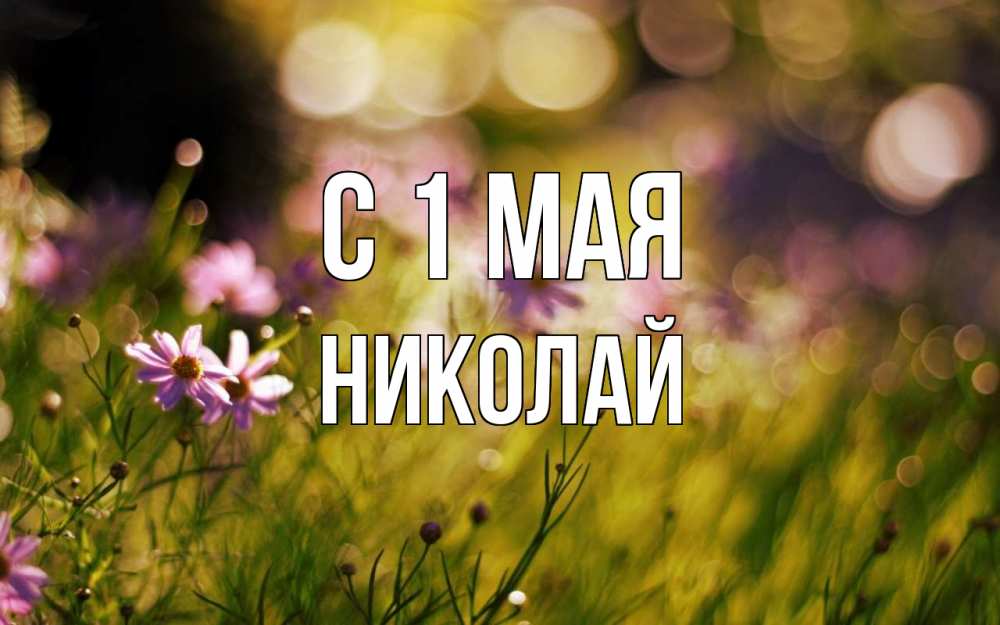 Открытка на каждый день с именем, Николай С 1 мая С 1 мая Прикольная открытка с пожеланием онлайн скачать бесплатно 