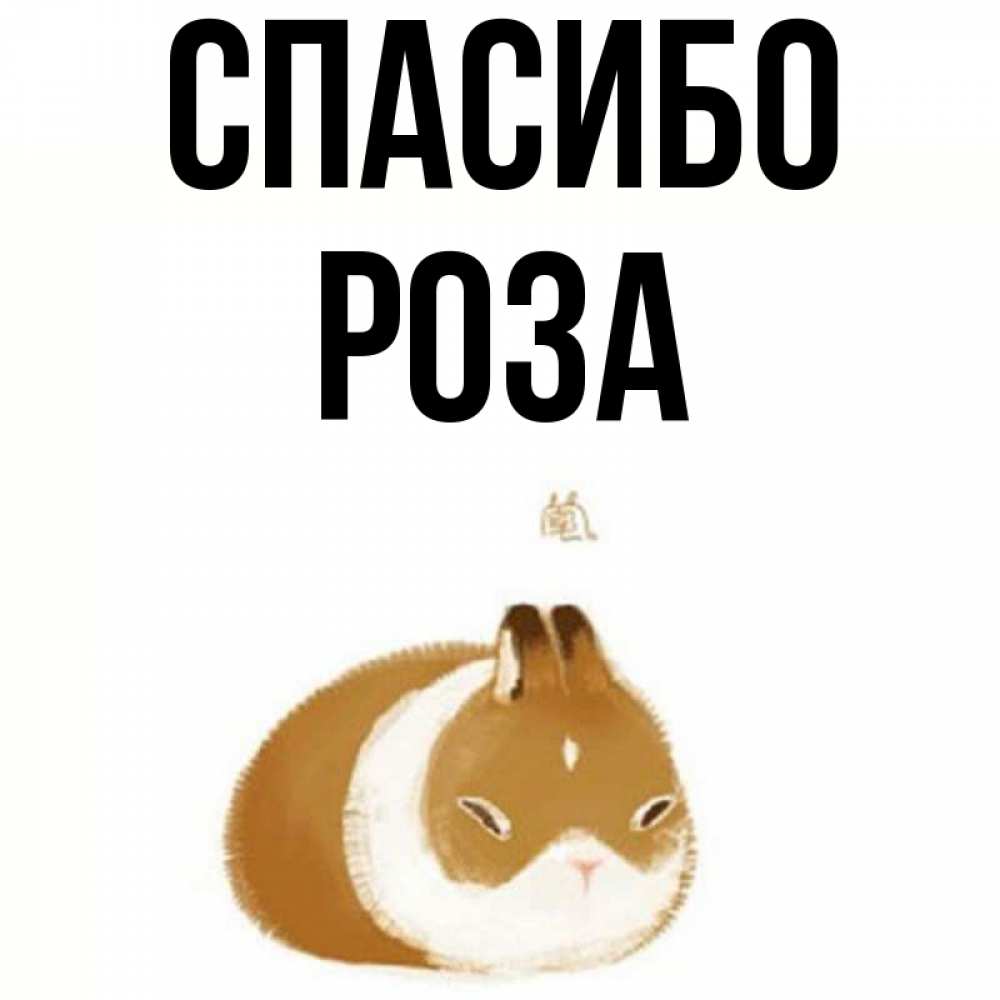 Открытка на каждый день с именем, Роза Спасибо коричнево белый домашний питомец Прикольная открытка с пожеланием онлайн скачать бесплатно 